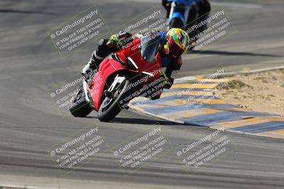 media/Mar-09-2024-SoCal Trackdays (Sat) [[bef1deb9bf]]/3-Turns 9 and 8 (1010am)/